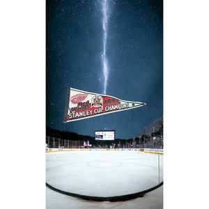Vintage NHL 1998 Detroit Red Wings Stanley Cup Champions NHL Hockey Felt Pennant